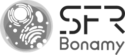 Logo SFR Bonamy